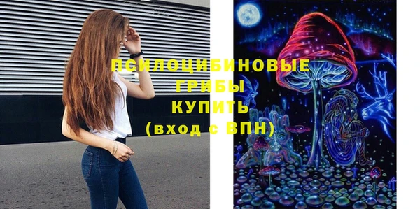 стаф Нефтегорск
