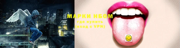 стаф Нефтегорск