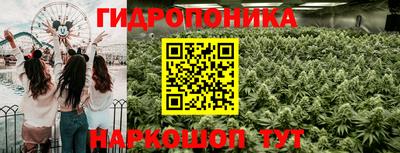 хмурый Можга