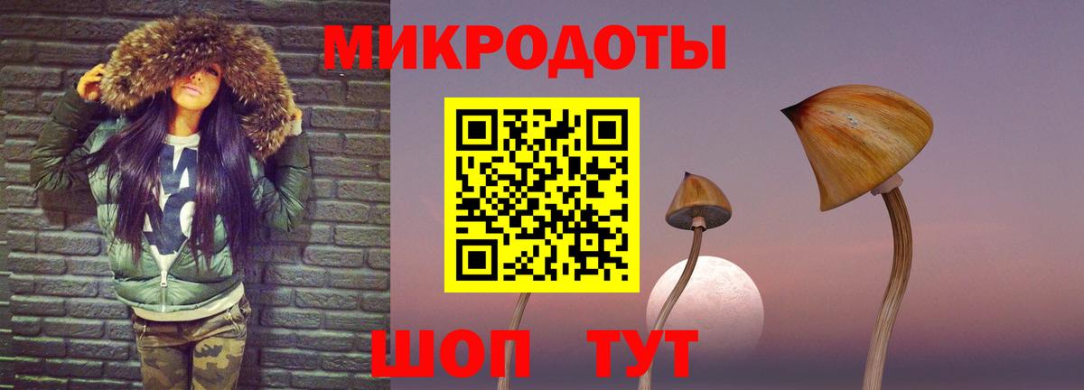 Галлюциногенные грибы Magic Shrooms  купить   Саратов  Вход с VPN 