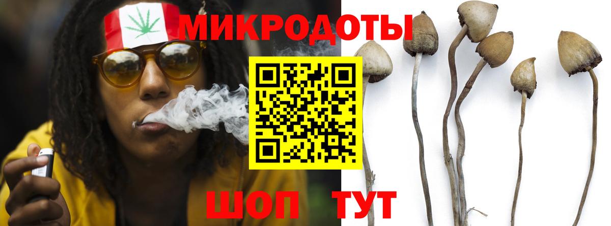Псилоцибиновые грибы MAGIC MUSHROOMS Саратов